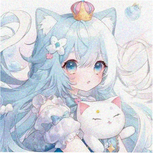 会员球迷